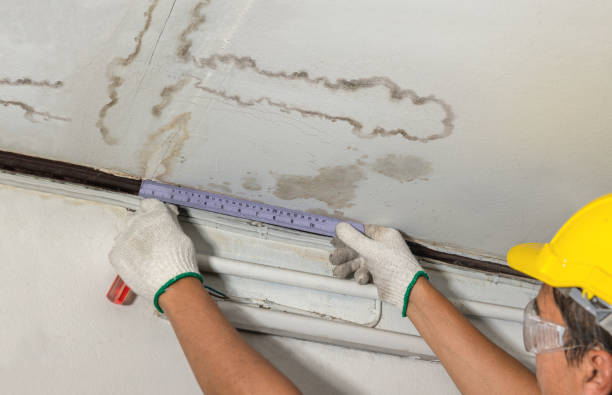 Reliable Water Damage contractor in Parsons, WV by Water Damage Irwin